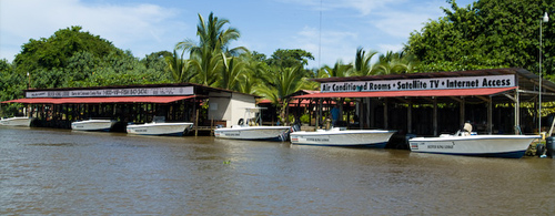 Costa Rica - Crocodile Bay - Sailfish