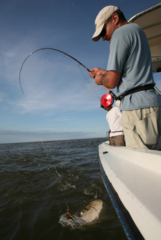 Fishing at Silver King Lodge