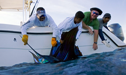 Guatemala Fishing